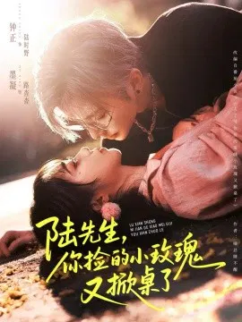 【短剧】陆先生，你捡的小玫瑰又掀桌了