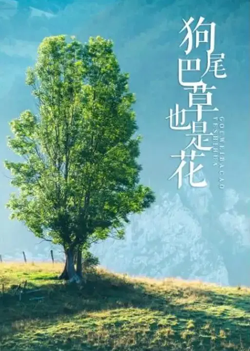 【剧情片】狗尾巴草也是花